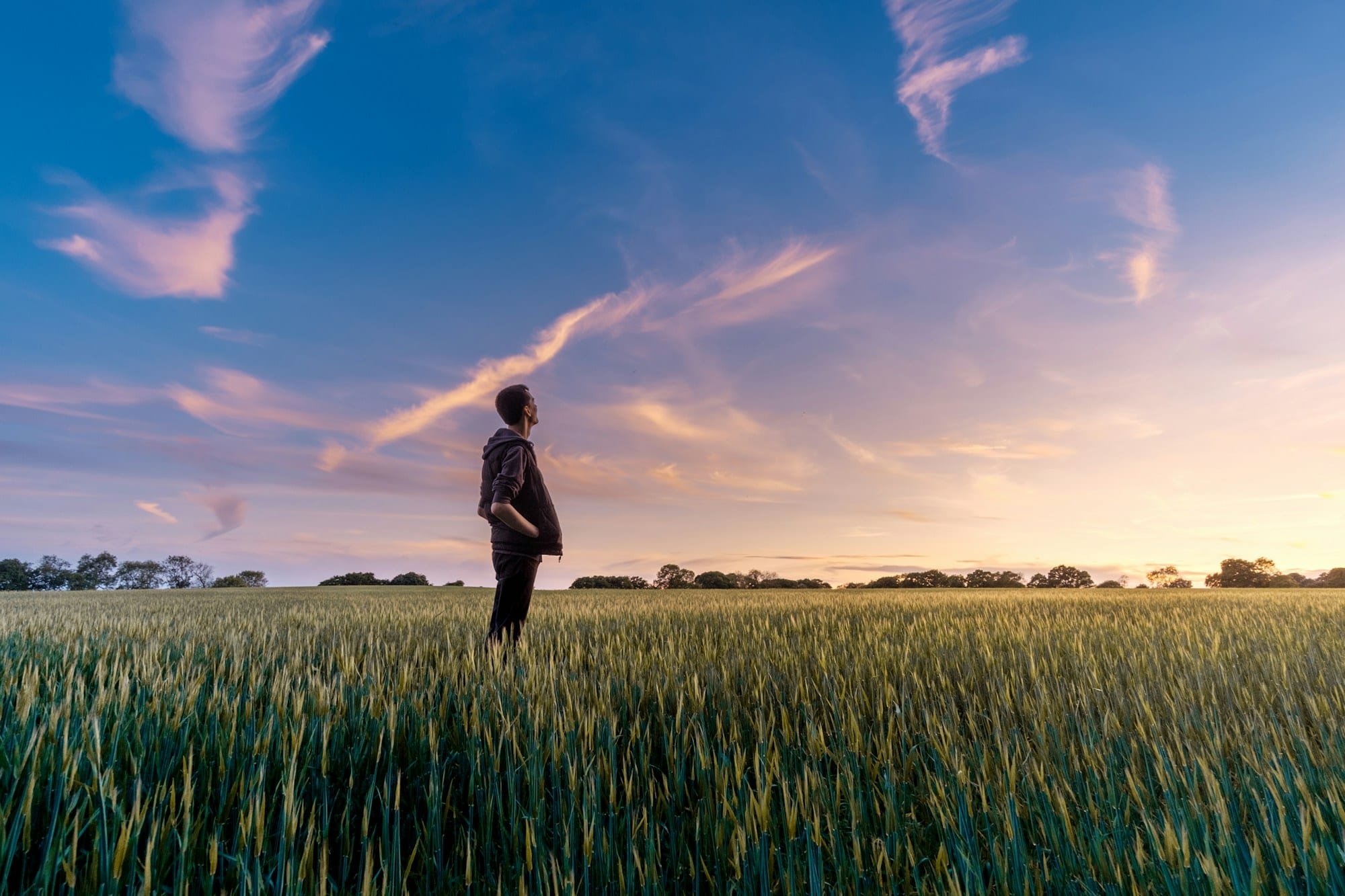 Un jeune homme dans un champ d'herbe regardant le ciel, symbole de projection vers l'avenir et d'horizon ouvert